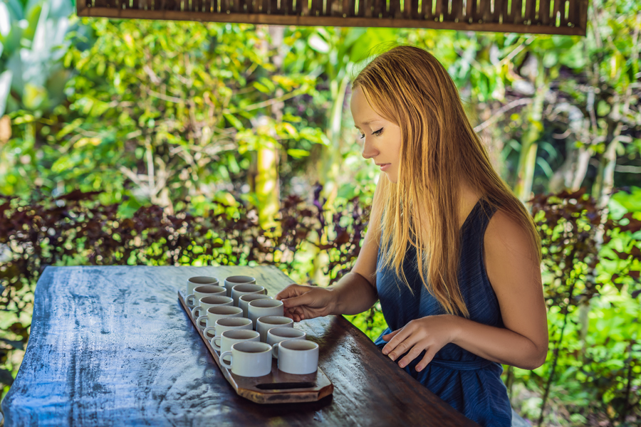 Balinese coffee testing