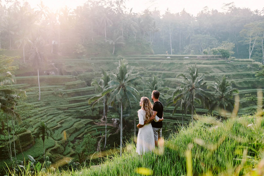 Tegalalang Rice Terrace in Bali