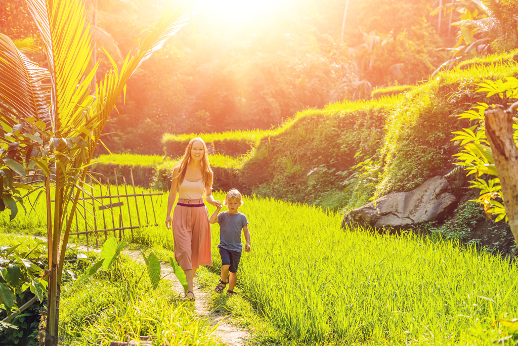 Tegalalang Rice Terrce