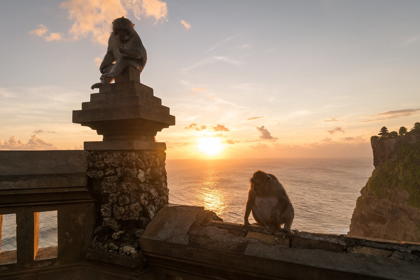 Uluwatu's Monkeys